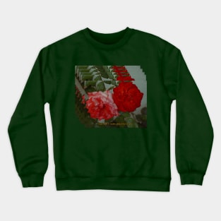 Stay Soft (Roses) Crewneck Sweatshirt